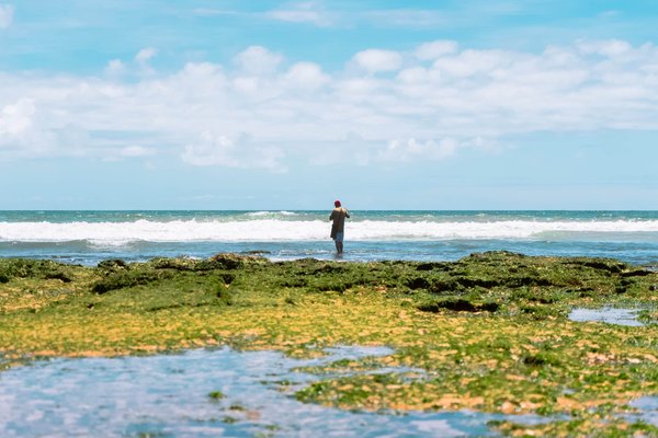 Quels sont les défis de l'éco-tourisme dans les pays en développement ?